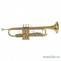Труба BACH TR-650